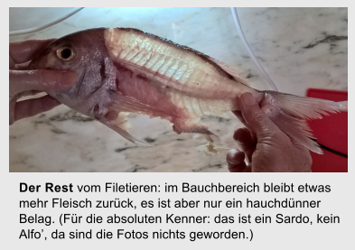Der Rest vom Filetieren: im Bauchbereich bleibt etwas mehr Fleisch zurck, es ist aber nur ein hauchdnner Belag. (Fr die absoluten Kenner: das ist ein Sardo, kein Alfo, da sind die Fotos nichts geworden.)